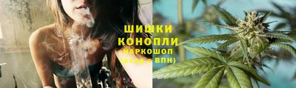 spice Гусев