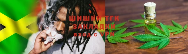 spice Гусев