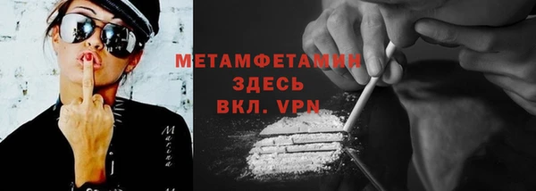 трава Гусиноозёрск