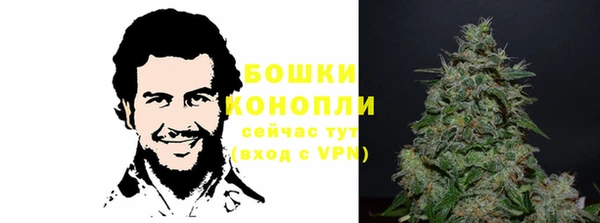 spice Гусев