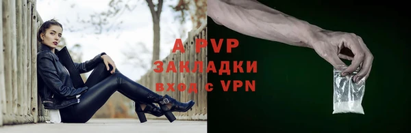 spice Гусев