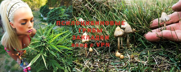 трава Гусиноозёрск