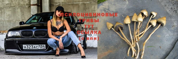 трава Гусиноозёрск