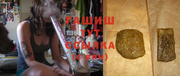 spice Гусев
