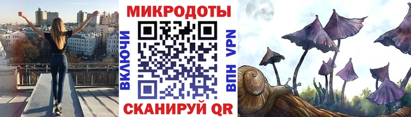 дарк нет формула  Озёры  Псилоцибиновые грибы Cubensis  сколько стоит  hydra как зайти 